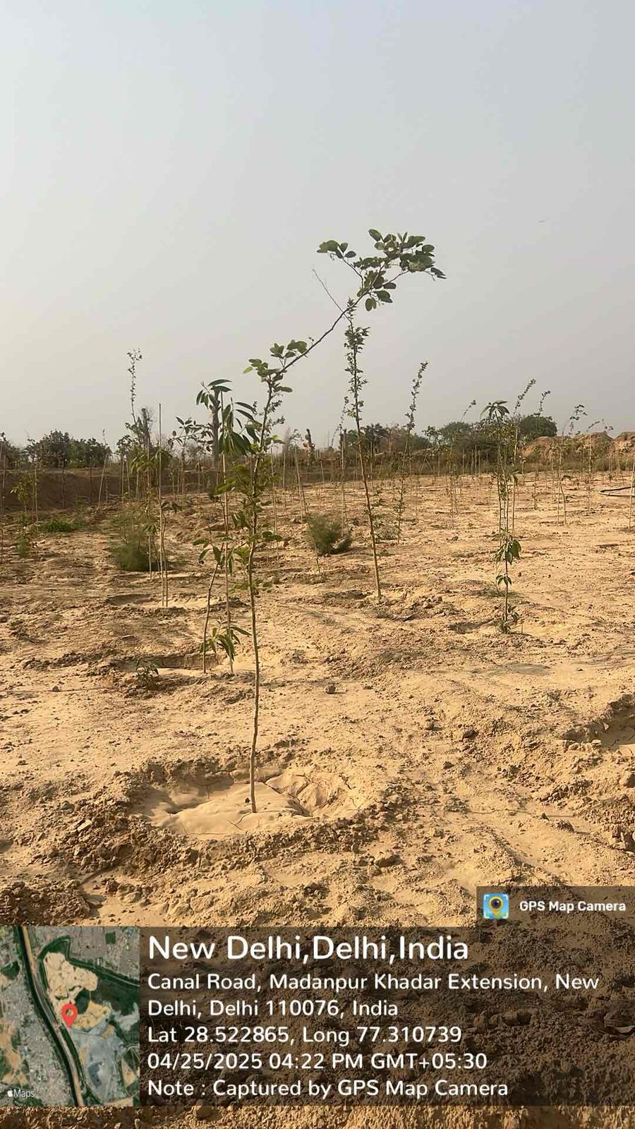 Compensatory Afforestation